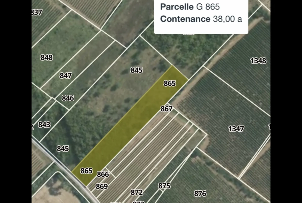 Terrain de loisir à vendre à Florensac - 3 800 m² près des plages méditerranéennes 