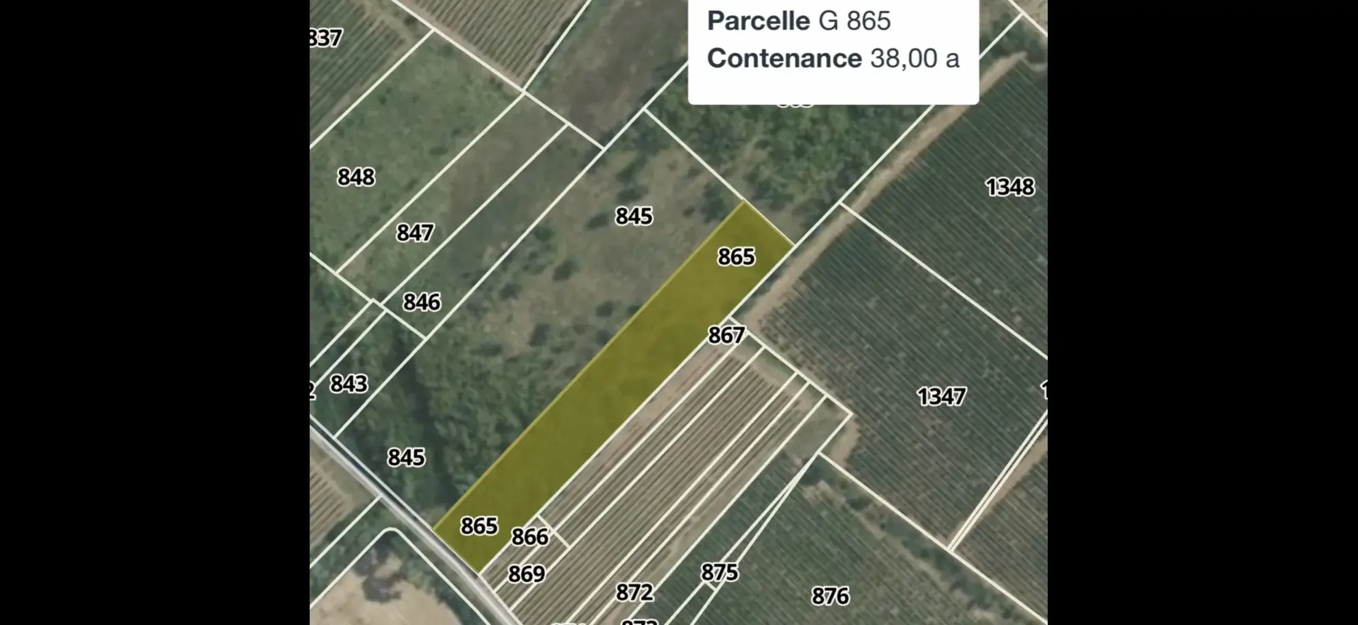 Terrain de loisir à vendre à Florensac - 3 800 m² près des plages méditerranéennes 