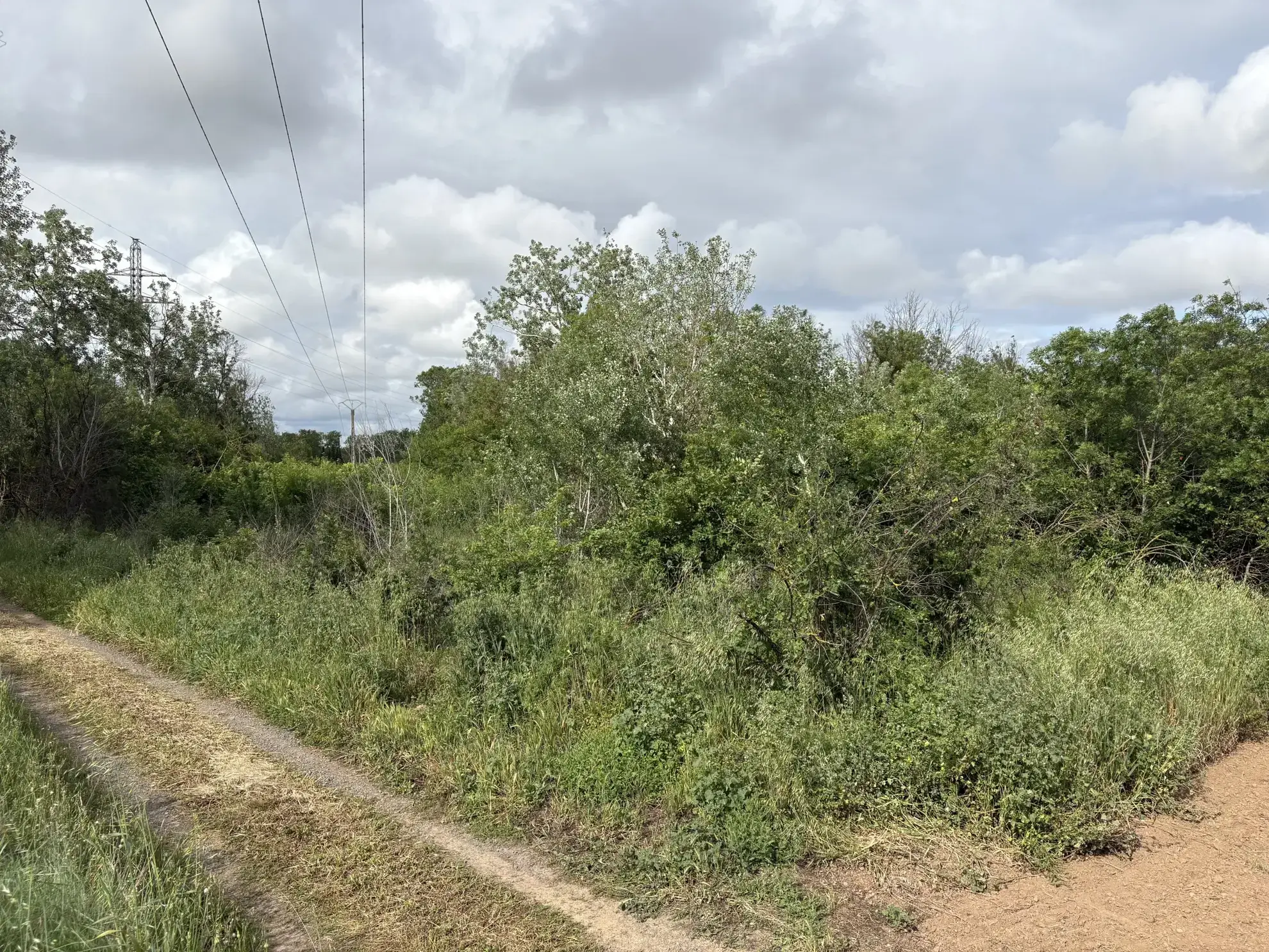 Terrain de loisir à vendre à Florensac - 3 800 m² près des plages méditerranéennes 