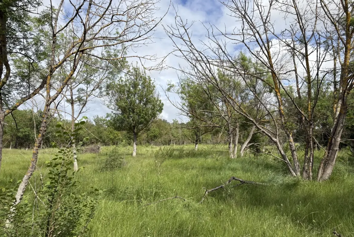 Terrain de loisir à vendre à Florensac - 3 800 m² près des plages méditerranéennes 