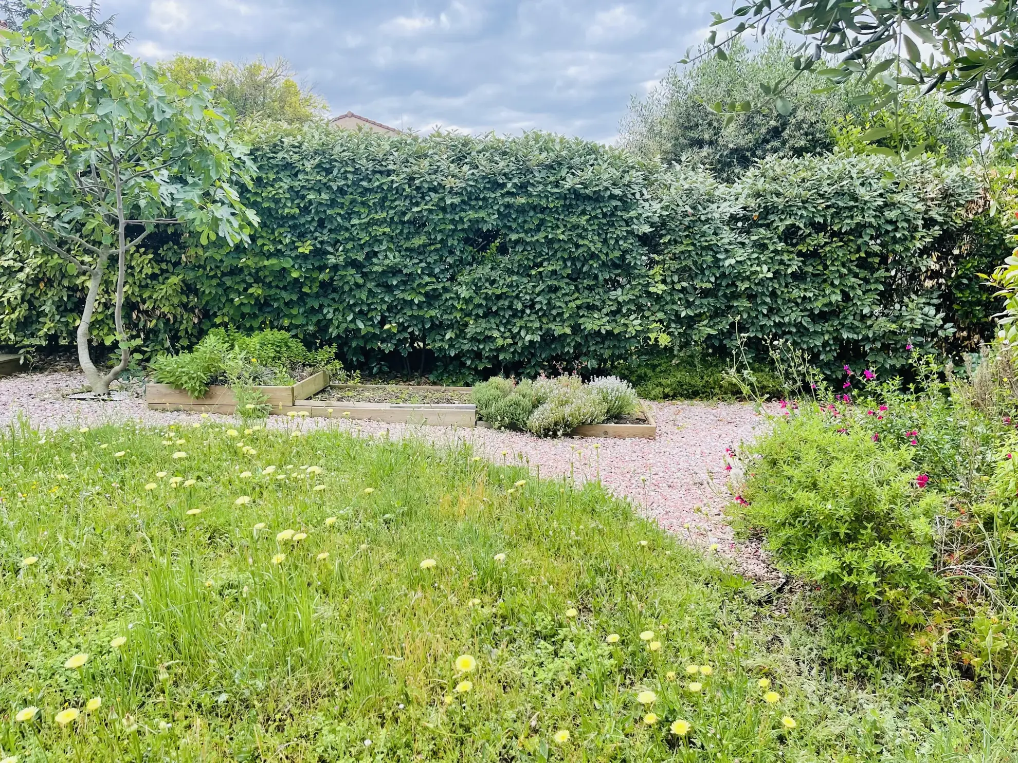 Belle maison avec piscine et annexe à Carcassonne Montlegun, secteur calme et verdoyant 