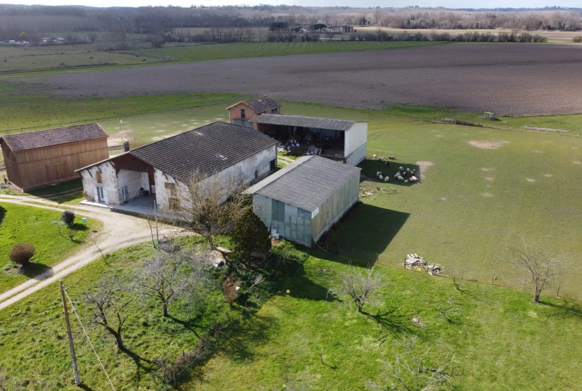 Maison en pierre avec grand hangar à Marmande avec espace de stockage de 650m² 