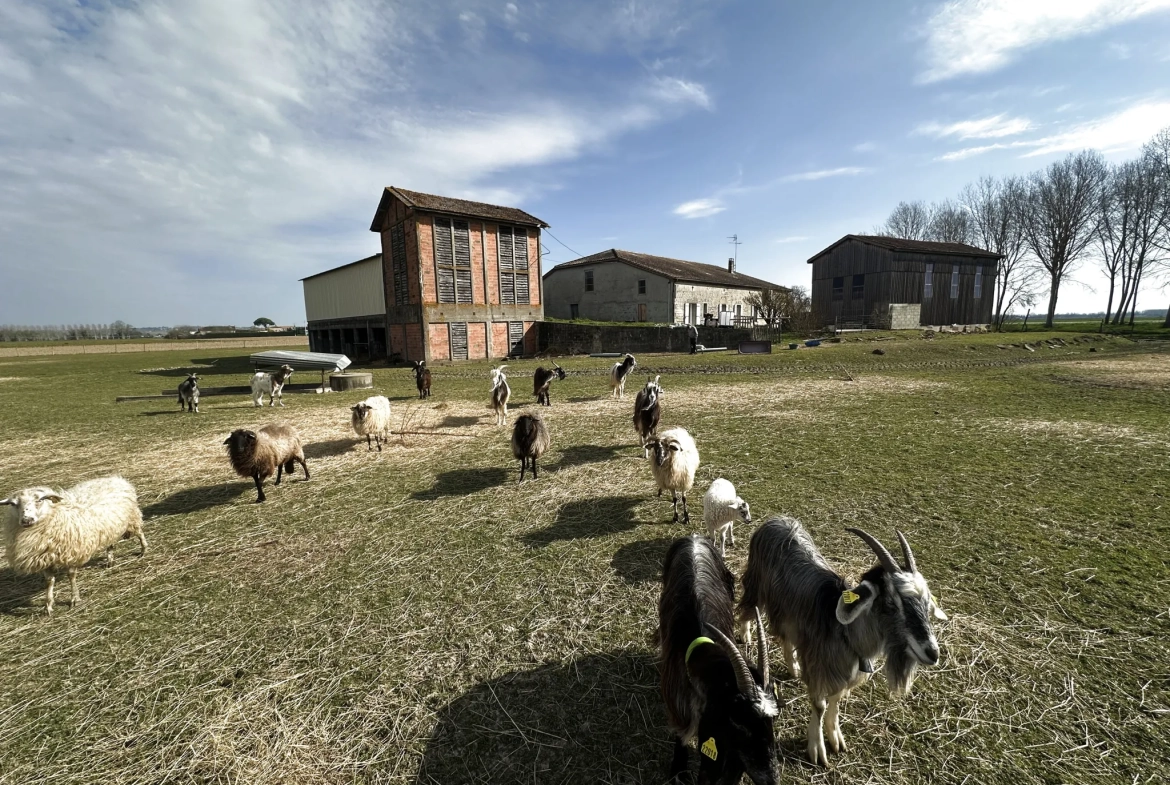 Maison en pierre avec grand hangar à Marmande avec espace de stockage de 650m² 