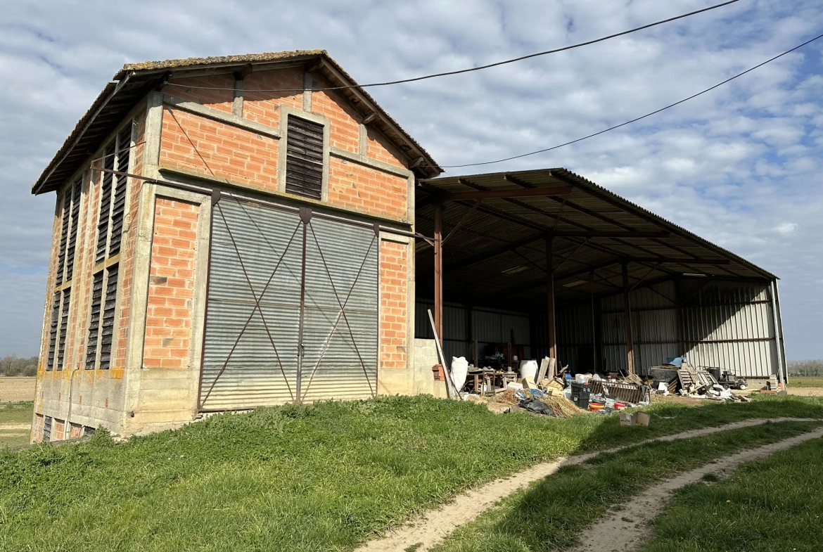 Maison en pierre avec grand hangar à Marmande avec espace de stockage de 650m² 