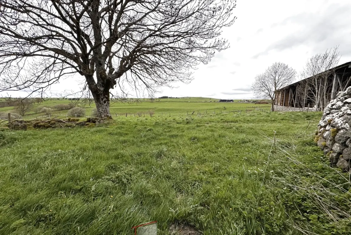 A vendre grange à rénover avec terrain à Saint Flour - 880 m² 