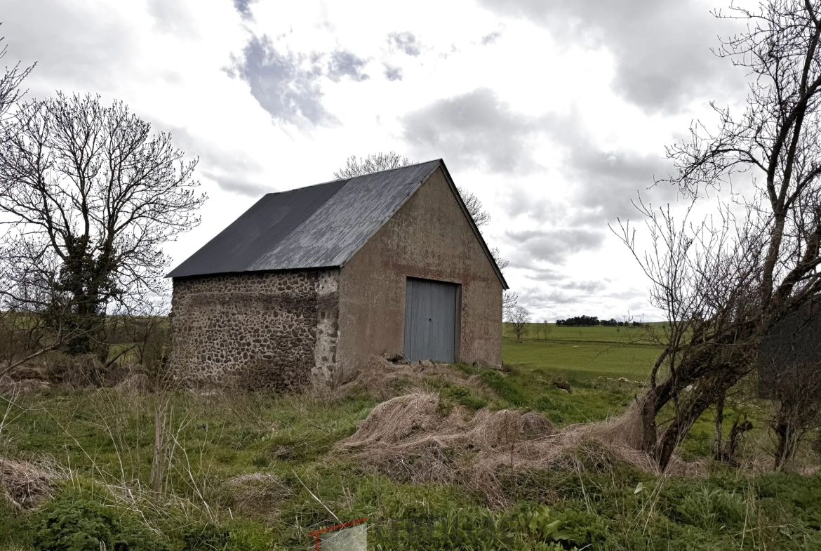 A vendre grange à rénover avec terrain à Saint Flour - 880 m² 