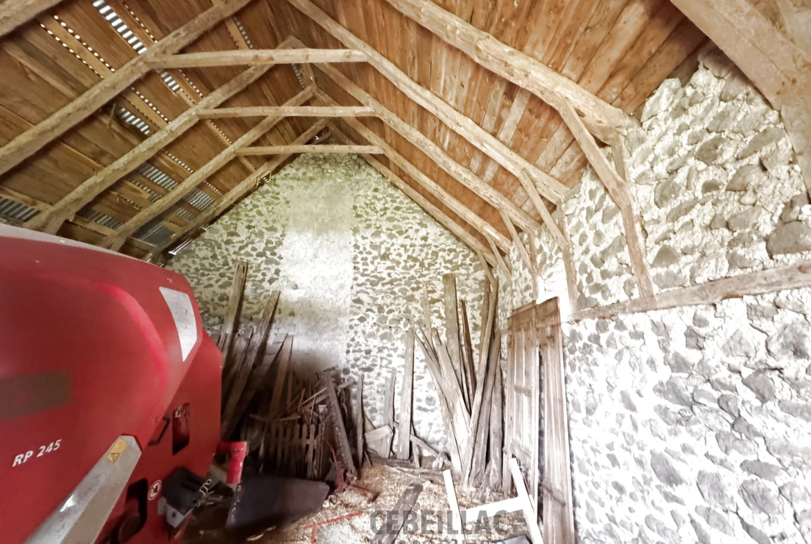 A vendre grange à rénover avec terrain à Saint Flour - 880 m² 