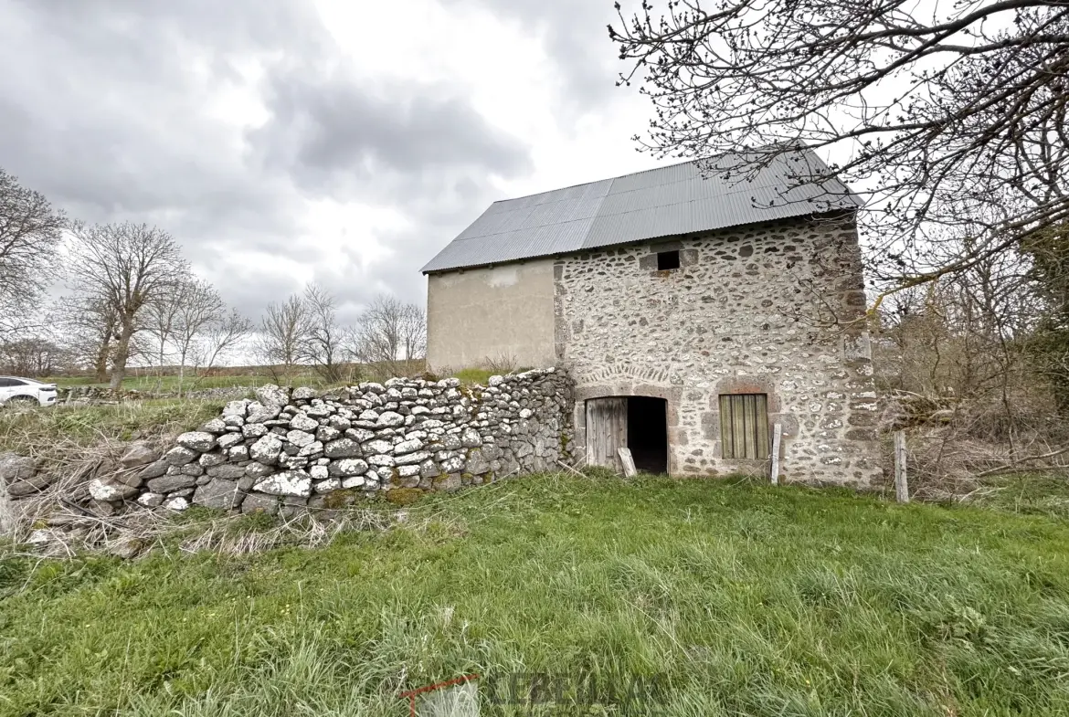 A vendre grange à rénover avec terrain à Saint Flour - 880 m² 