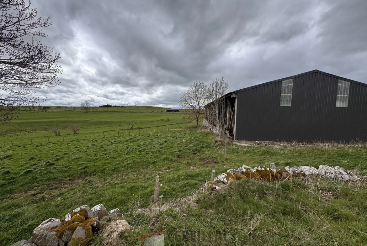 A vendre grange à rénover avec terrain à Saint Flour - 880 m² 
