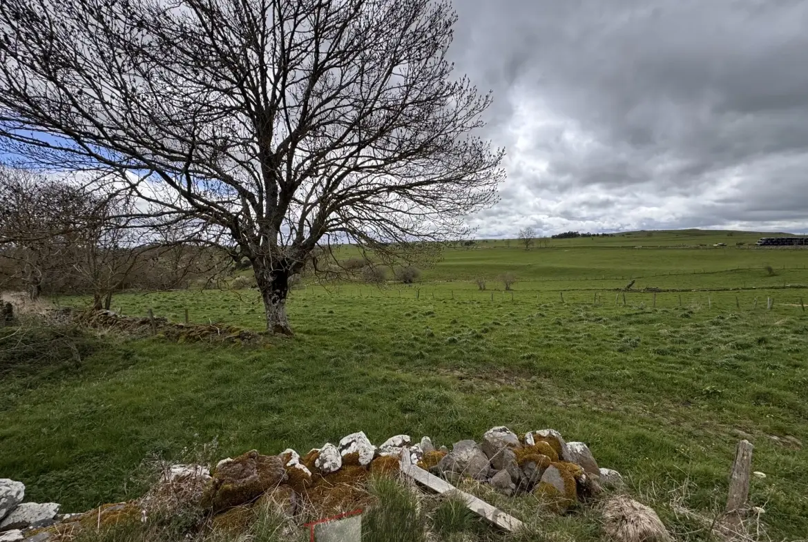 A vendre grange à rénover avec terrain à Saint Flour - 880 m² 