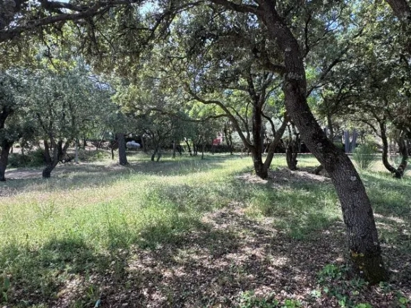 Terrain constructible à Peyrolles en Provence – Emplacement privilégié pour votre maison