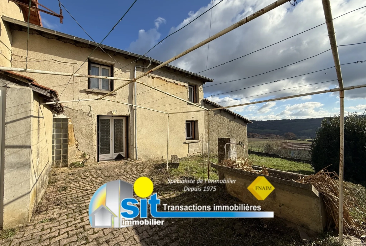 Ferme à rénover à Vernioz - 82 m², terrain 1519 m², proche Vienne 