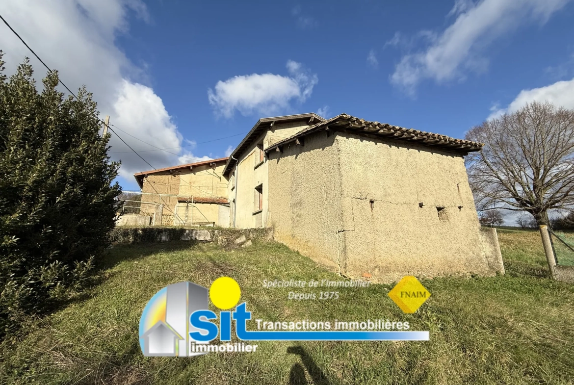 Ferme à rénover à Vernioz - 82 m², terrain 1519 m², proche Vienne 