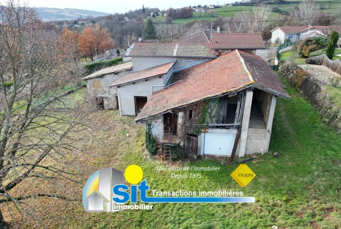 Ferme à rénover à Vernioz - 82 m², terrain 1519 m², proche Vienne 