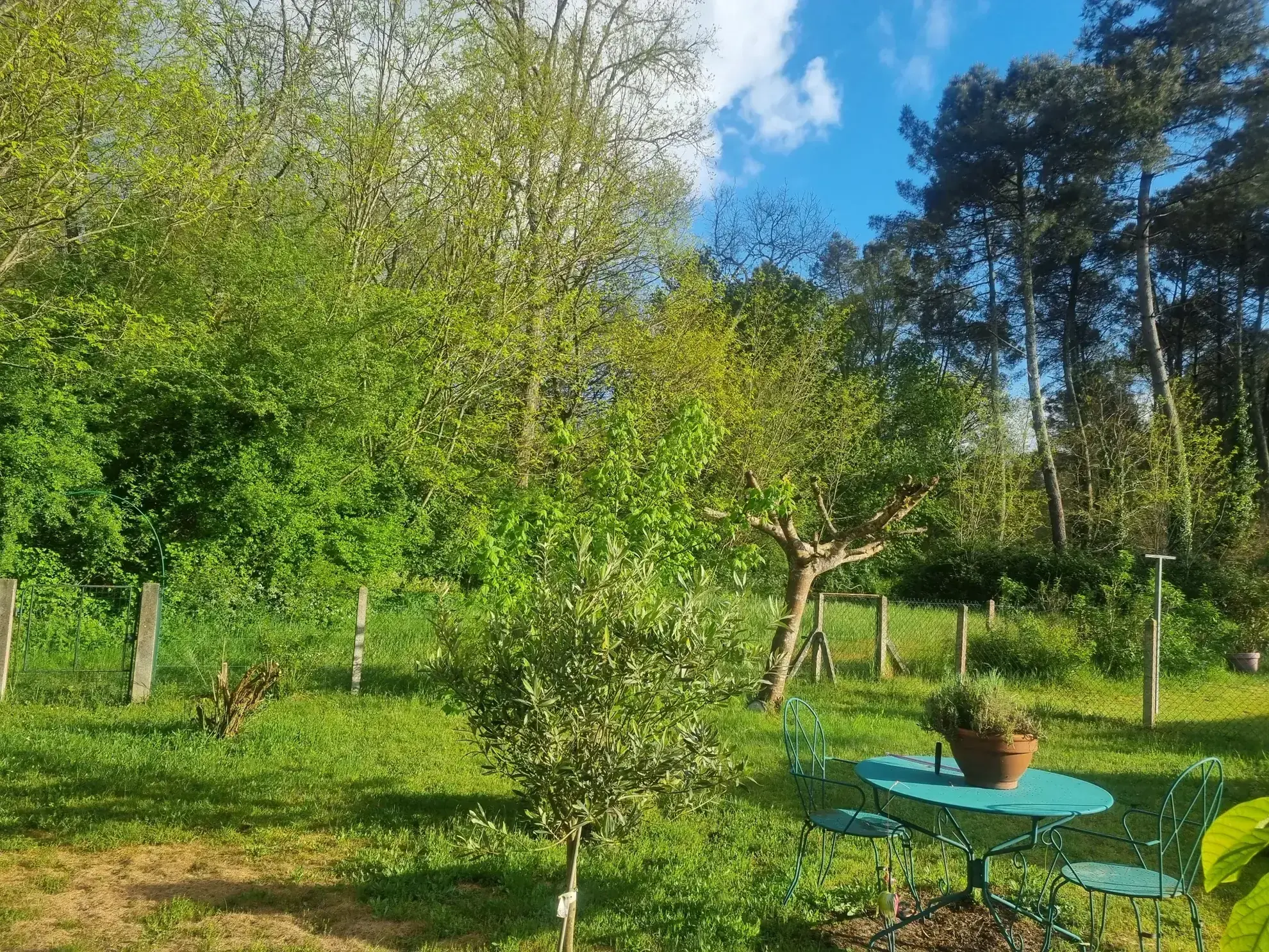 Charmante maison de village de 85 m² avec jardin à Bazas 