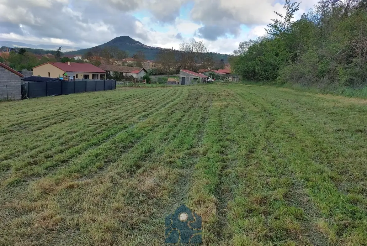Terrain constructible à Orsonnette dans le Puy-de-Dôme - 2911 m² 