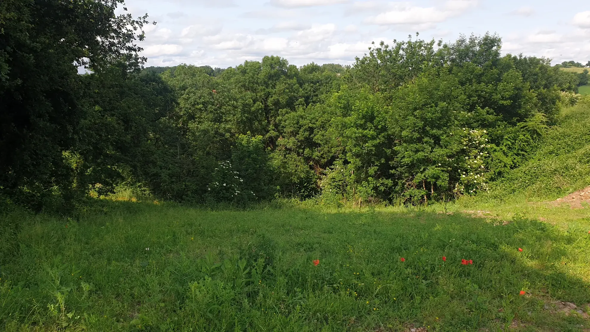 Terrain à bâtir à Druelle avec vue panoramique, idéal pour votre projet immobilier 