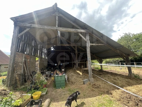Maison ancienne de 82,5 m² avec grand terrain à Tannerre-en-Puisaye 