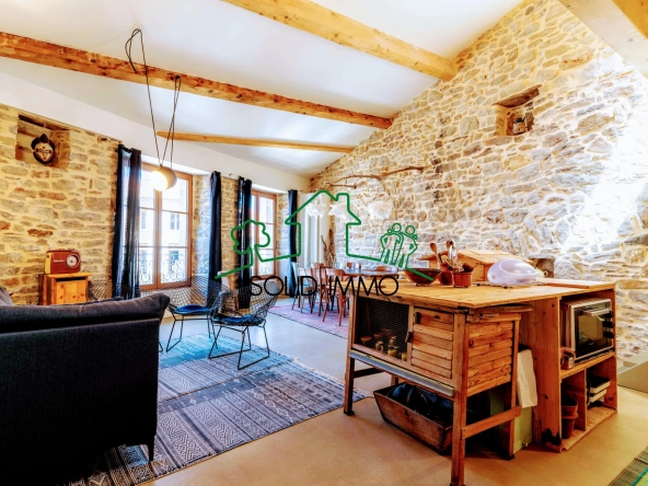 Appartement loft lumineux avec vue sur la place aux Vans