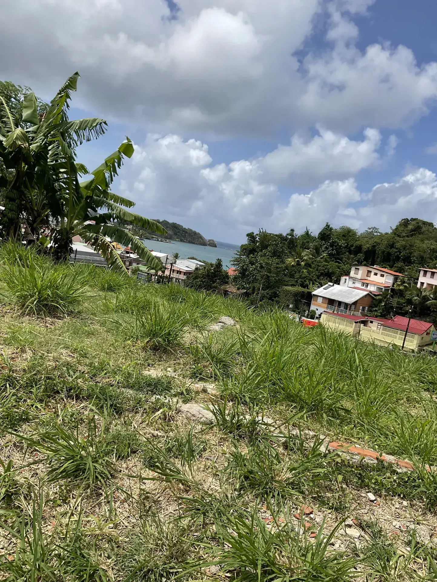 Terrain constructible avec vue mer à Trinité - 706 m² 