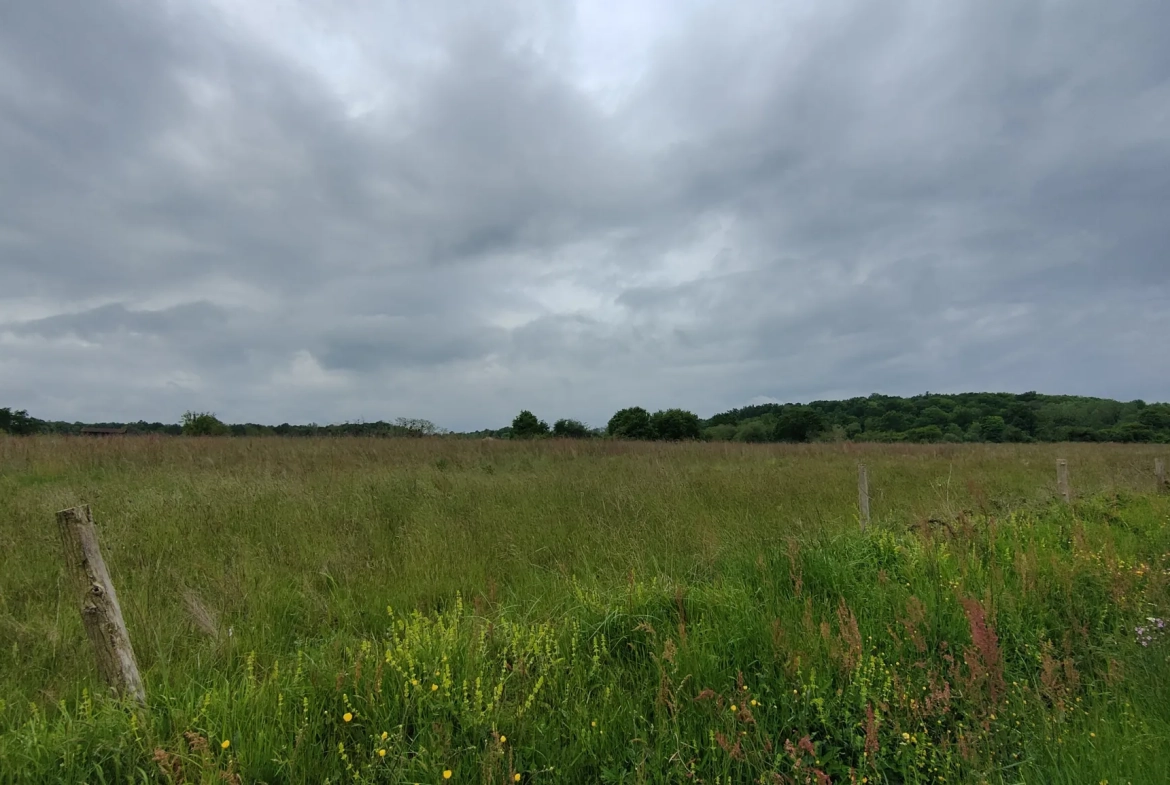 À vendre maison de campagne à Aillas, 7 pièces, 186 m² avec terrain de 9170 m² 
