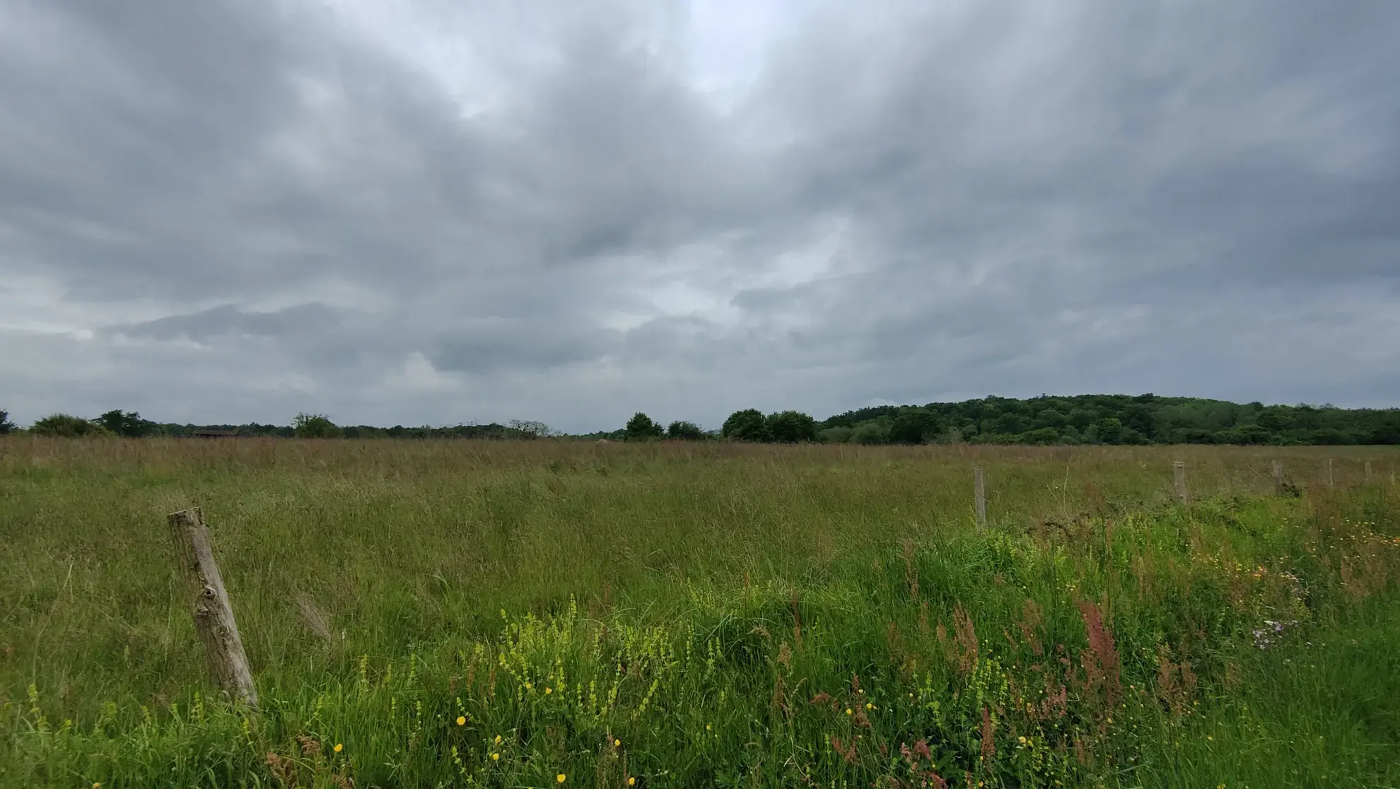 À vendre maison de campagne à Aillas, 7 pièces, 186 m² avec terrain de 9170 m² 