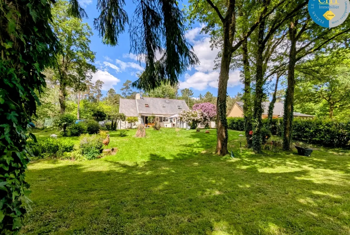 Maison en vente proche de la forêt de Brocéliande avec terrain arboré 