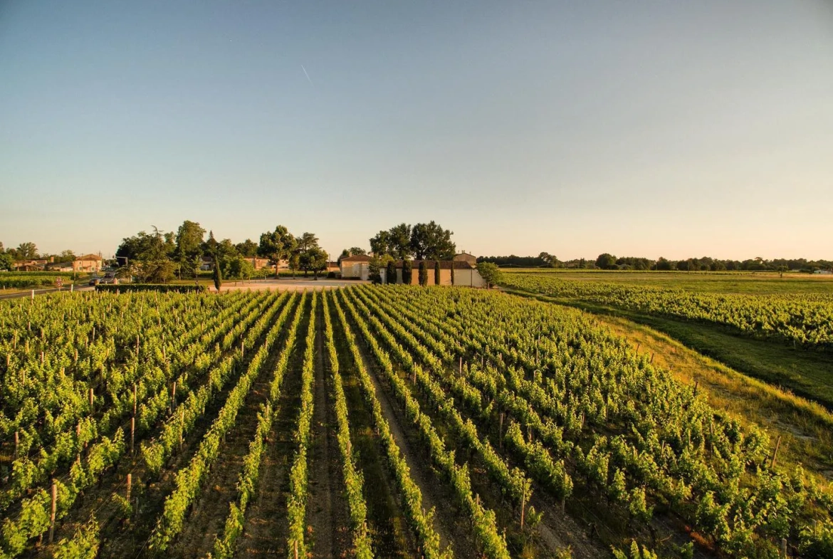Vente d'un Château viticole de prestige en Médoc avec 22 hectares en Agriculture Biologique 