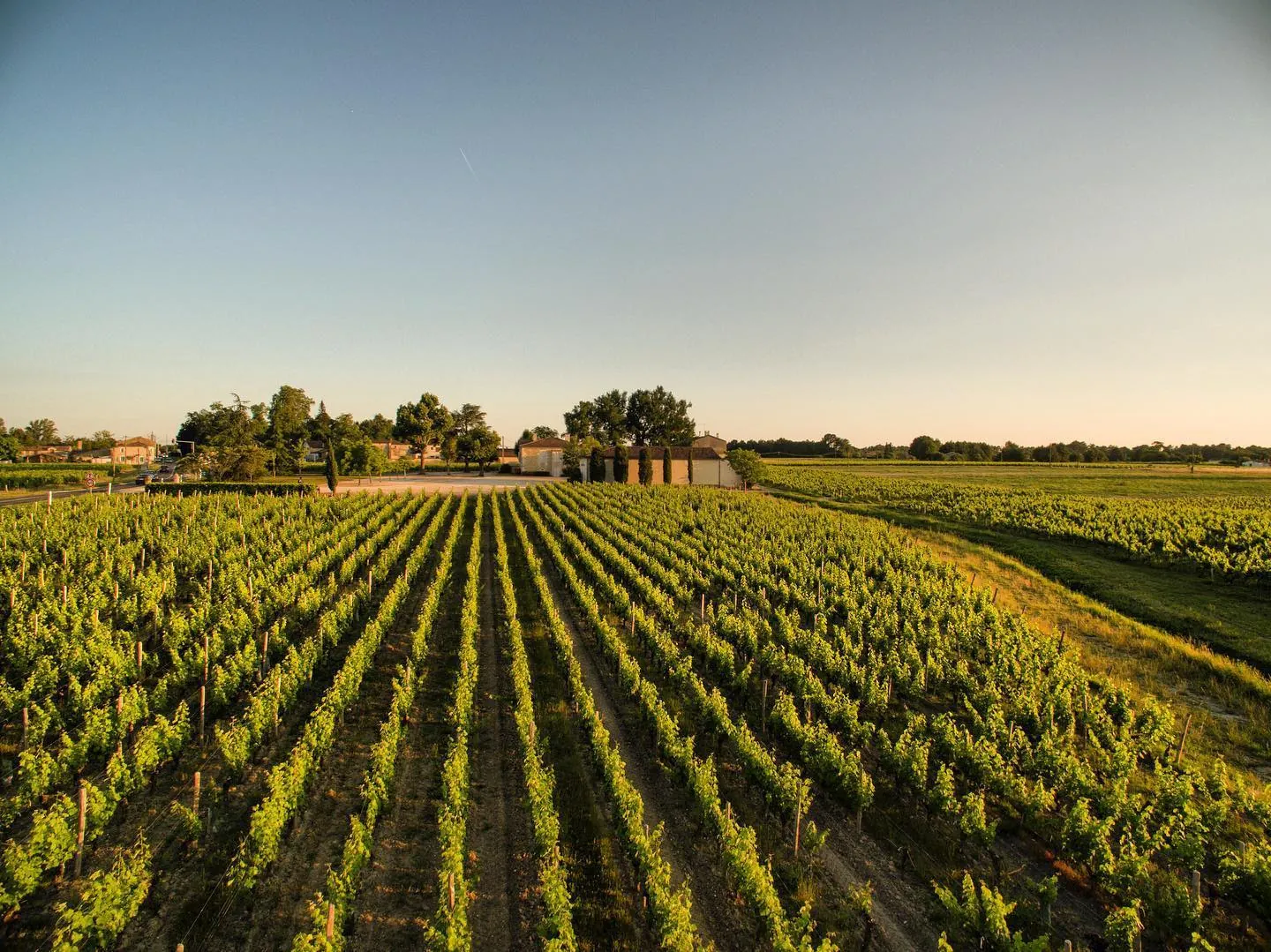 Vente d'un Château viticole de prestige en Médoc avec 22 hectares en Agriculture Biologique 