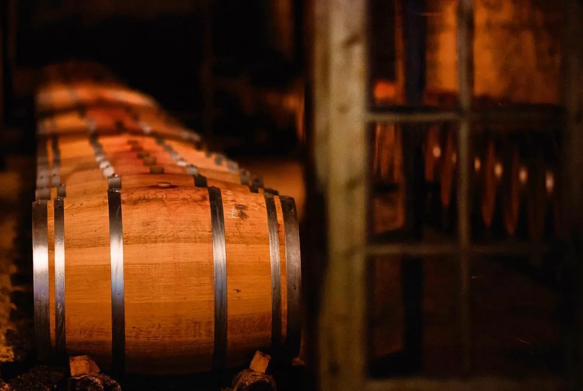 Vente d'un Château viticole de prestige en Médoc avec 22 hectares en Agriculture Biologique 