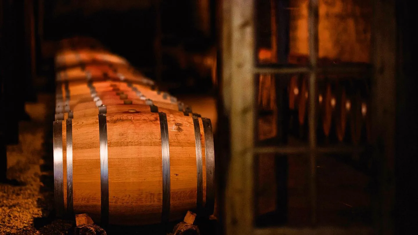 Vente d'un Château viticole de prestige en Médoc avec 22 hectares en Agriculture Biologique 