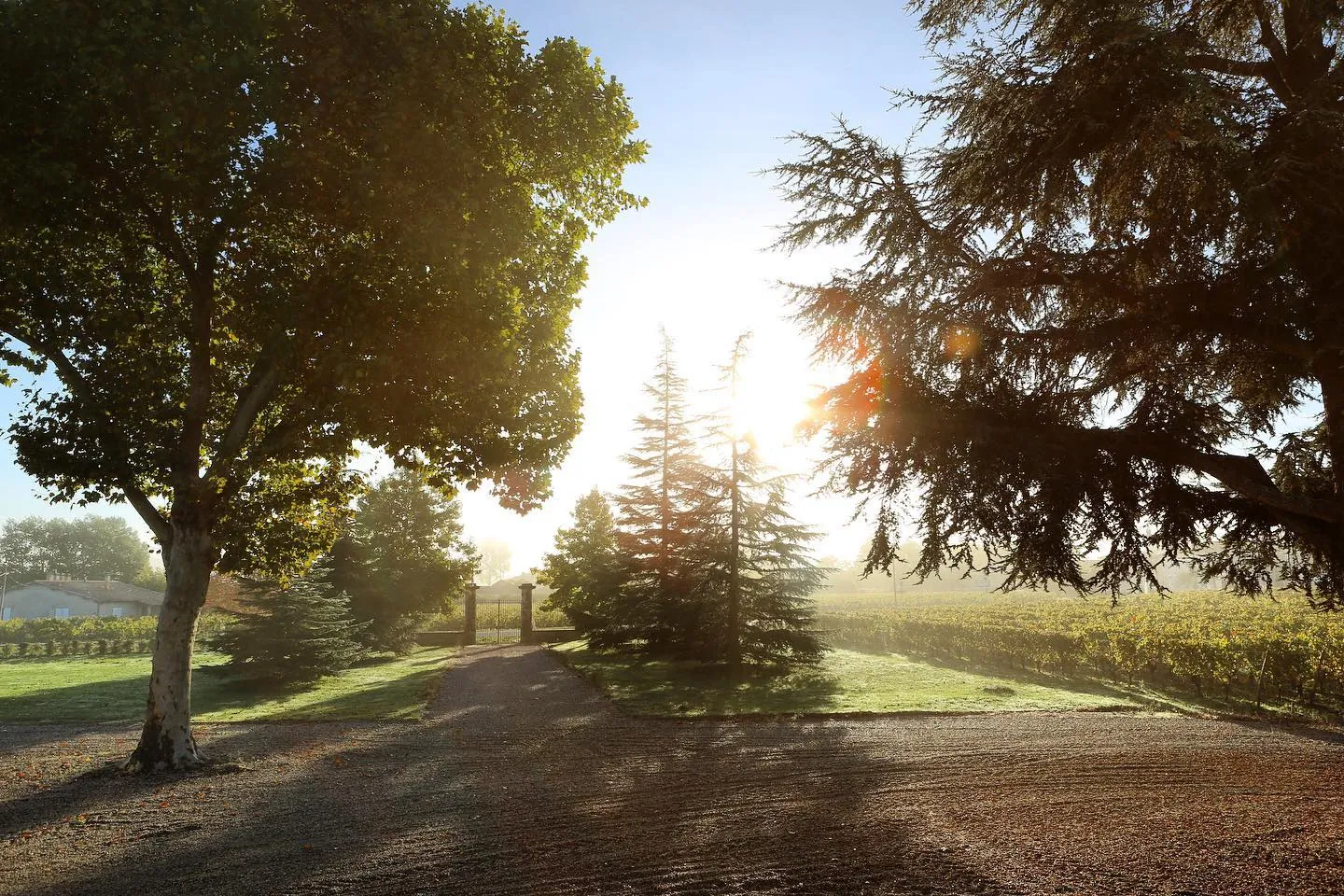Vente d'un Château viticole de prestige en Médoc avec 22 hectares en Agriculture Biologique 
