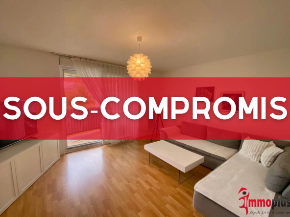 Appartement F2 de 56m² à Saint-Louis Bourgfelden avec terrasse et parking