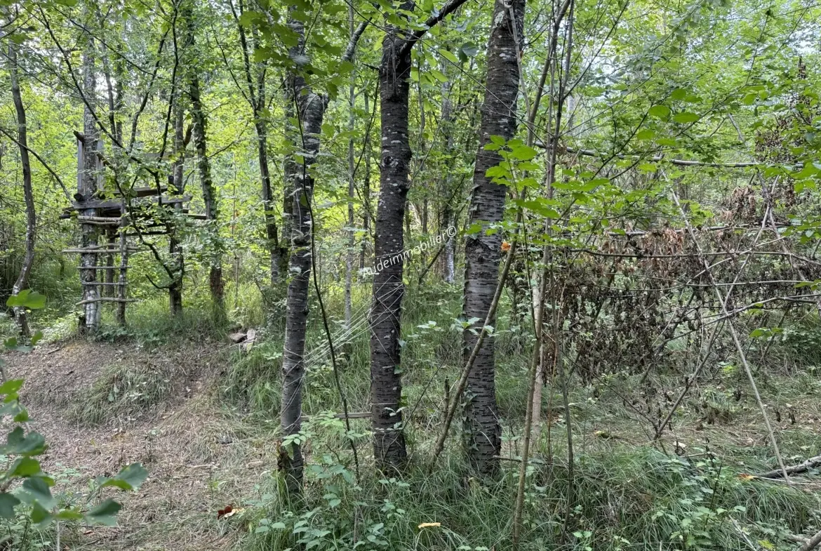 Maison en pierres avec jardin et terres dans la vallée de Limoux 
