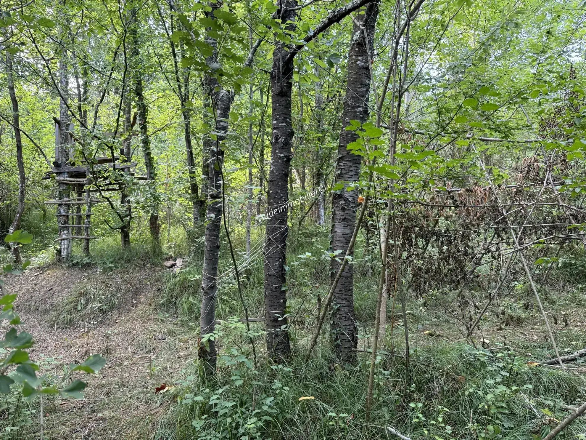 Maison en pierres avec jardin et terres dans la vallée de Limoux 