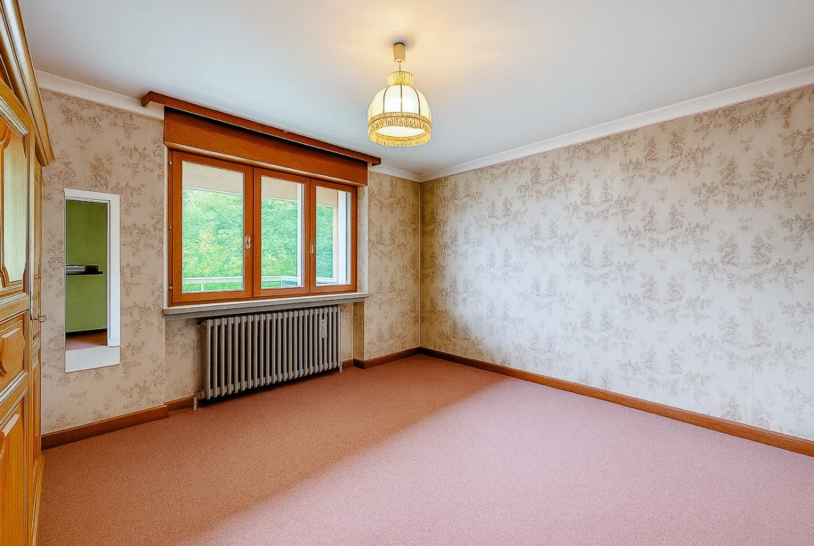 Maison spacieuse à rénover à Longwy, Terrain de 37 ares, Vue imprenable 