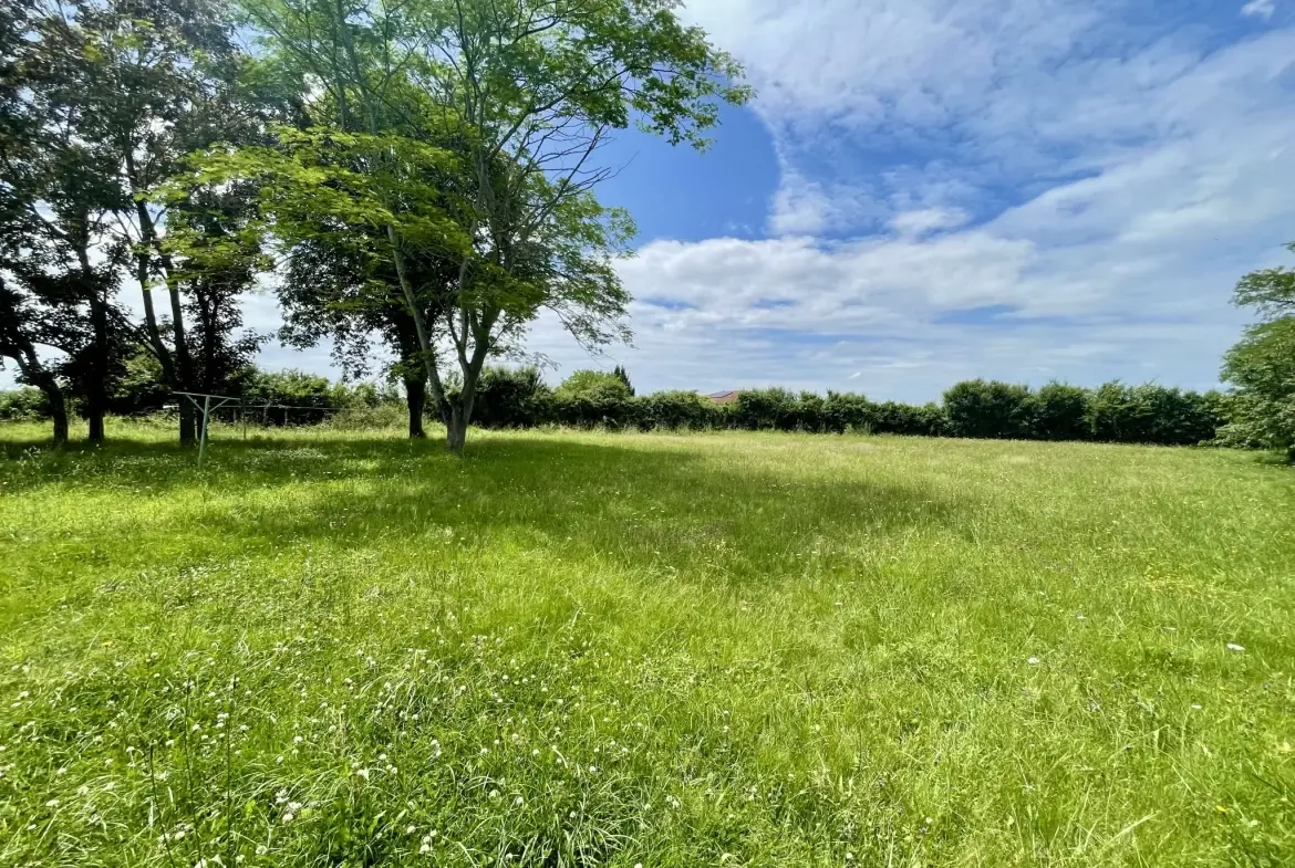 Maison à vendre à Ansost avec grand parc et travaux à prévoir près de Vic-en-Bigorre 
