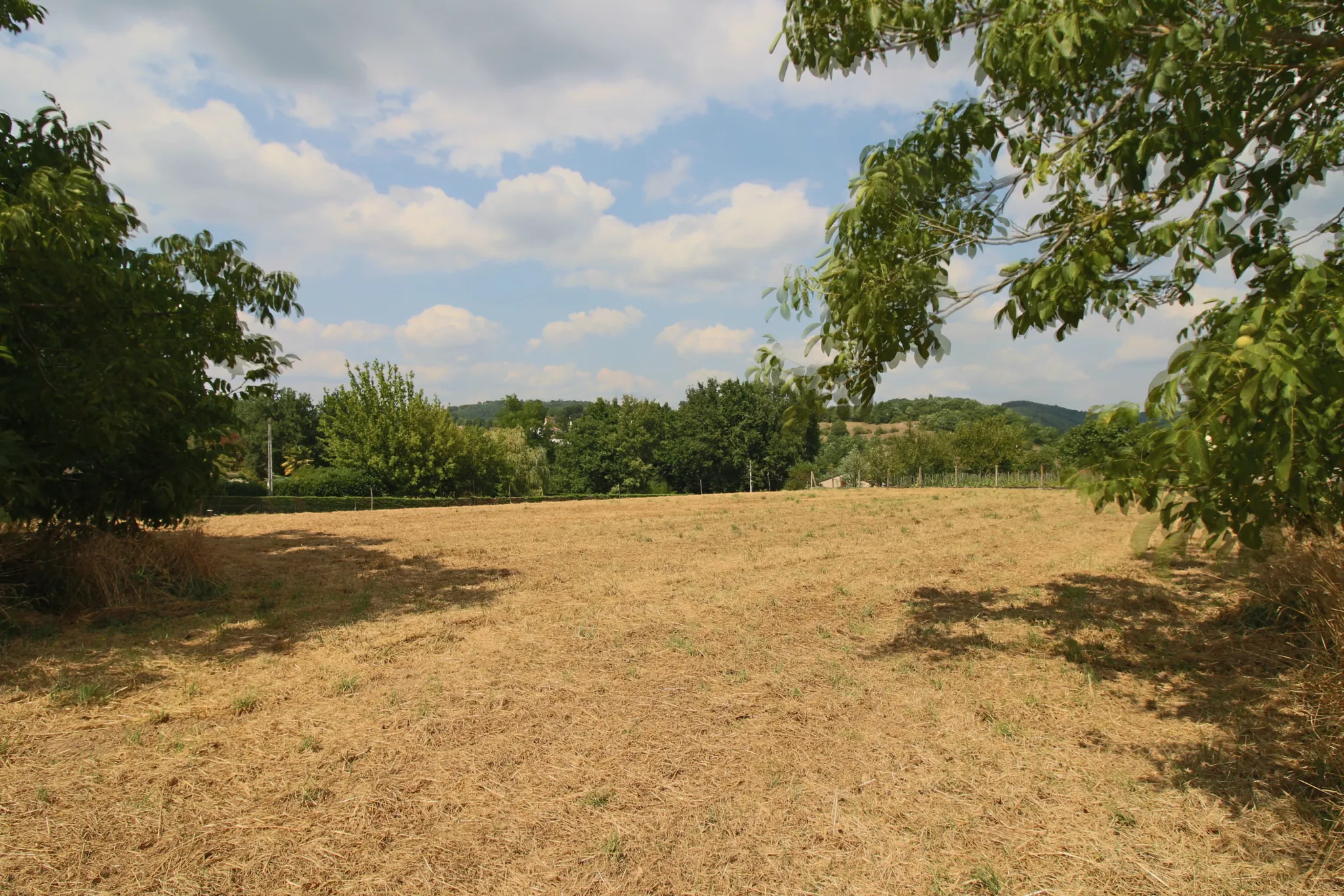 Terrain constructible de plus de 3000 m² à Puy l'Évêque, calme et proche des services 