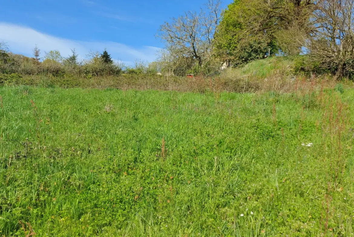 Terrain de 3538 m² proche des Herbiers, partie constructible, idéal pour projet immobilier 