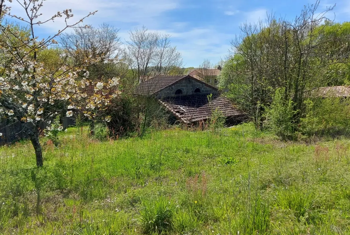 Terrain de 3538 m² proche des Herbiers, partie constructible, idéal pour projet immobilier 