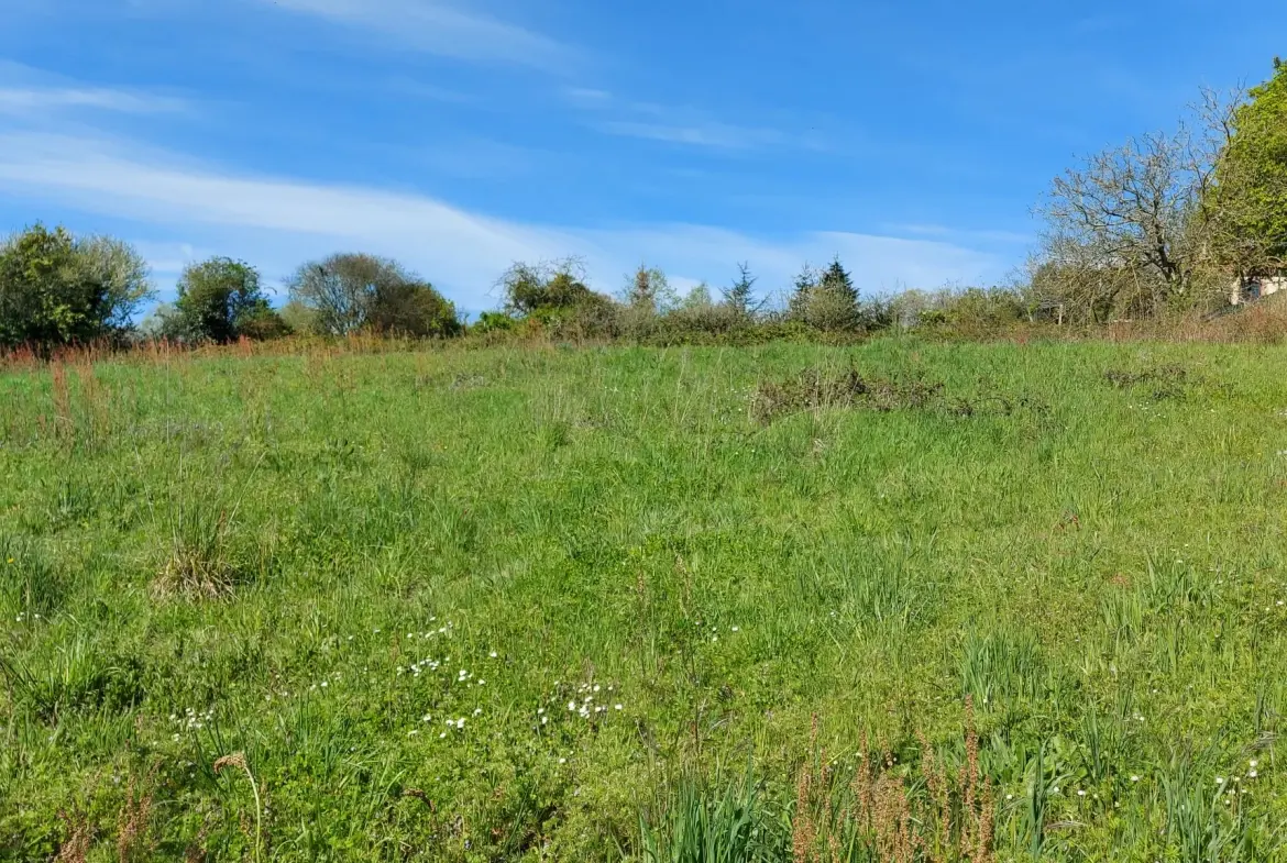 Terrain de 3538 m² proche des Herbiers, partie constructible, idéal pour projet immobilier 