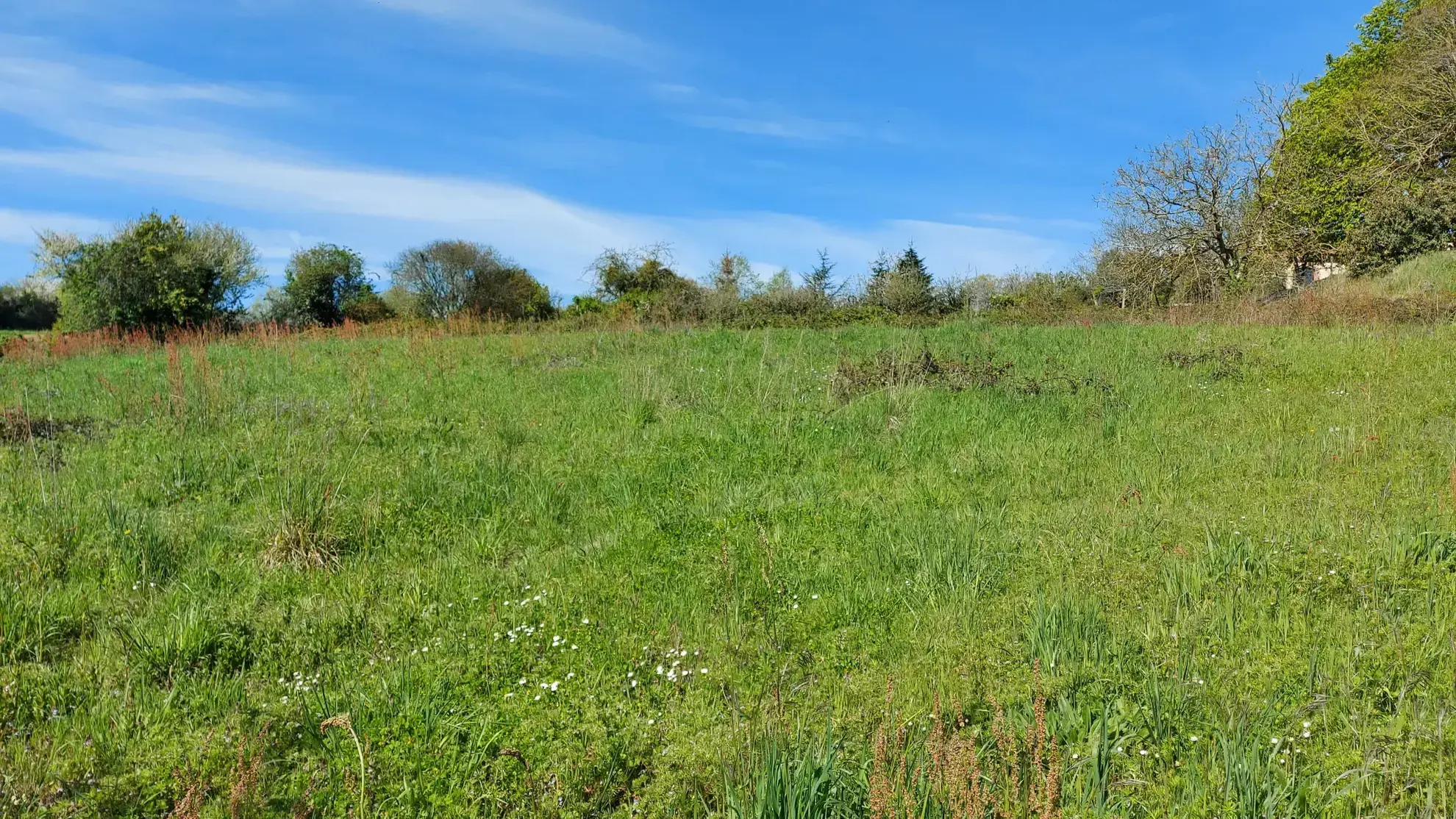 Terrain de 3538 m² proche des Herbiers, partie constructible, idéal pour projet immobilier 