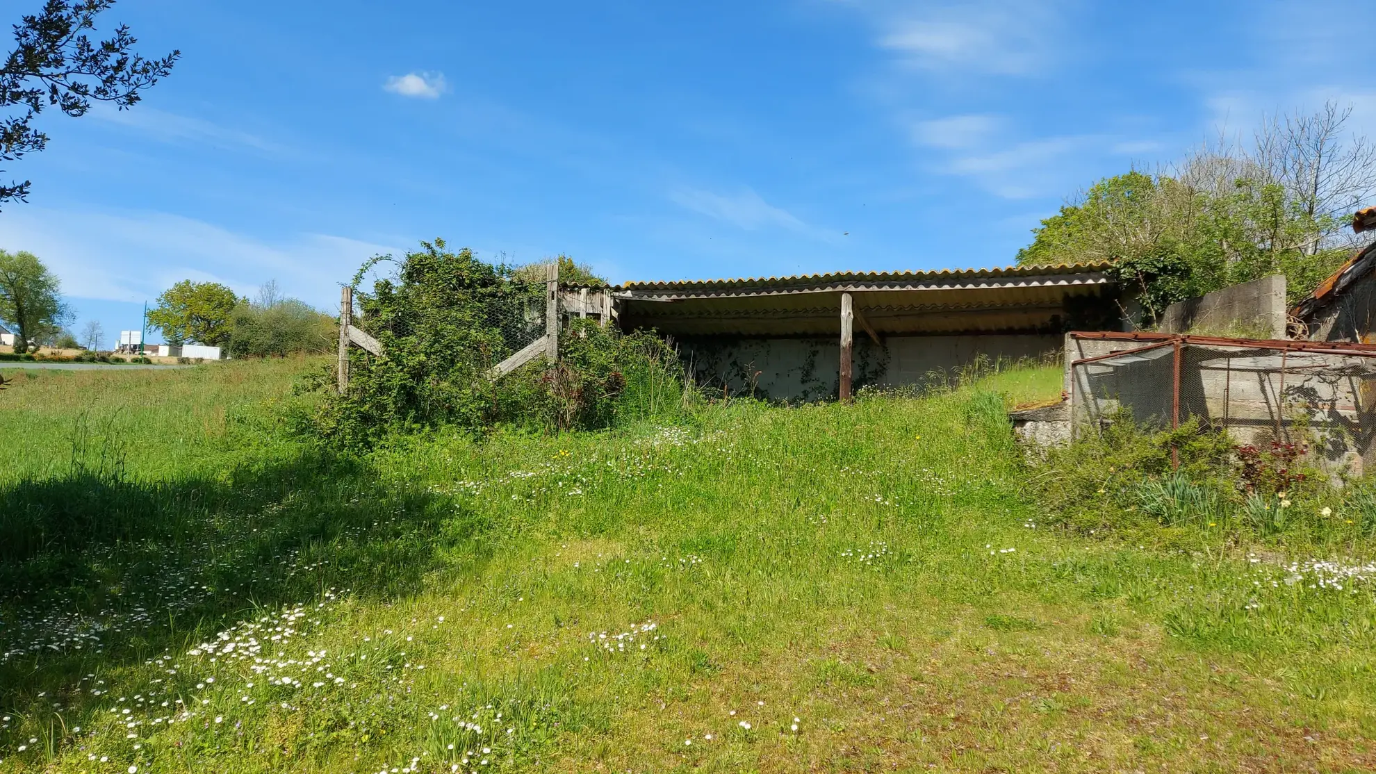 Terrain de 3538 m² proche des Herbiers, partie constructible, idéal pour projet immobilier 