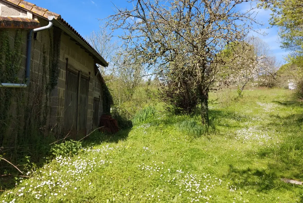 Terrain de 3538 m² proche des Herbiers, partie constructible, idéal pour projet immobilier 