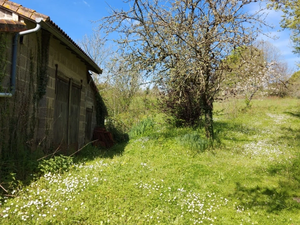 Terrain de 3538 m² proche des Herbiers, partie constructible, idéal pour projet immobilier