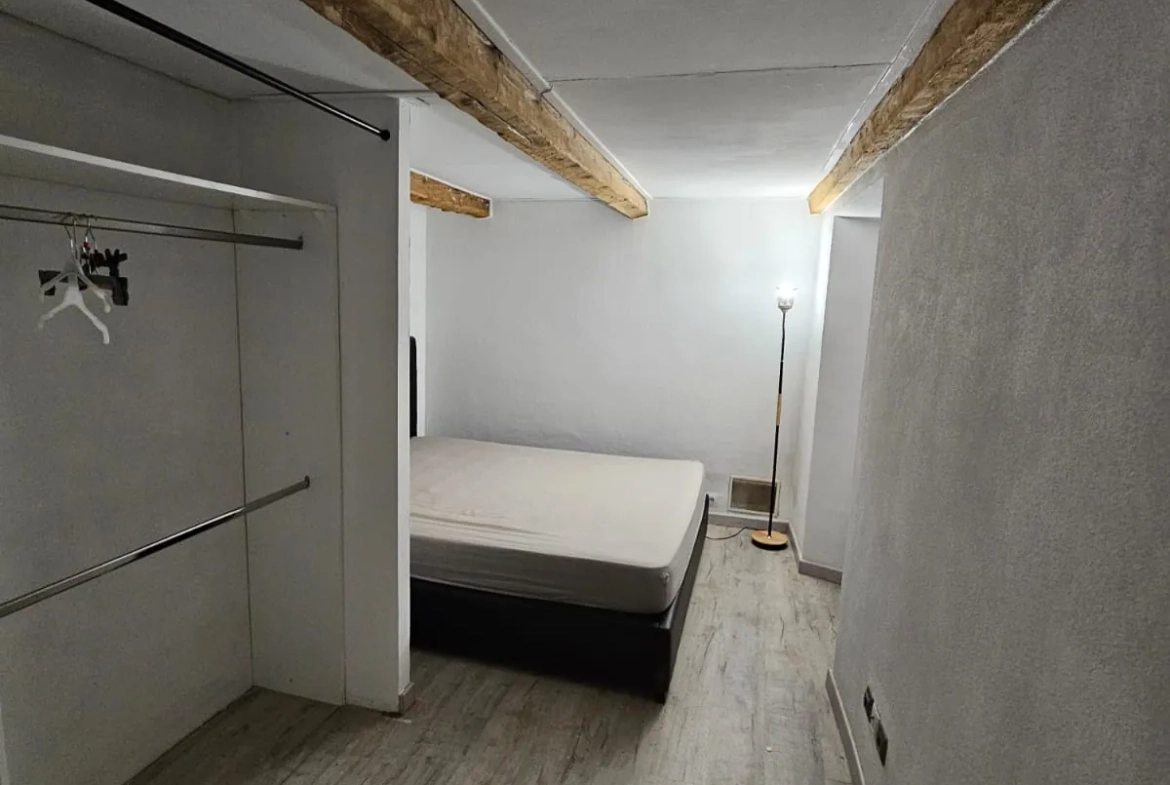 Appartement lumineux de 130 m2 avec terrasse à Tende, village paisible 