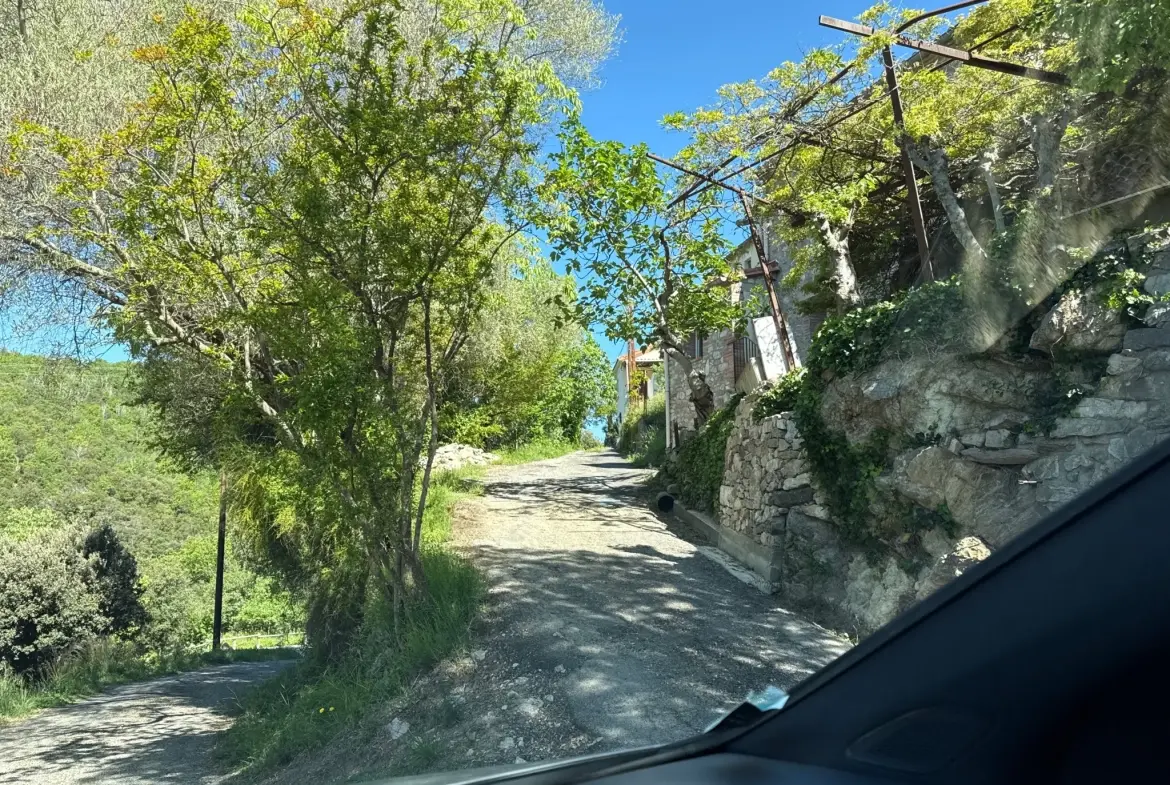 Maison de village à rénover avec jardin non attenant à Reynès - Environnement paisible 