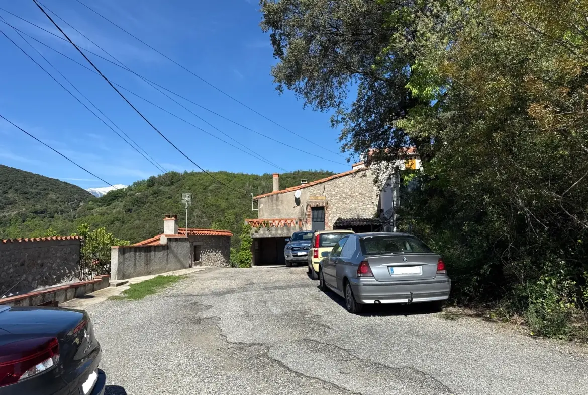 Maison de village à rénover avec jardin non attenant à Reynès - Environnement paisible 