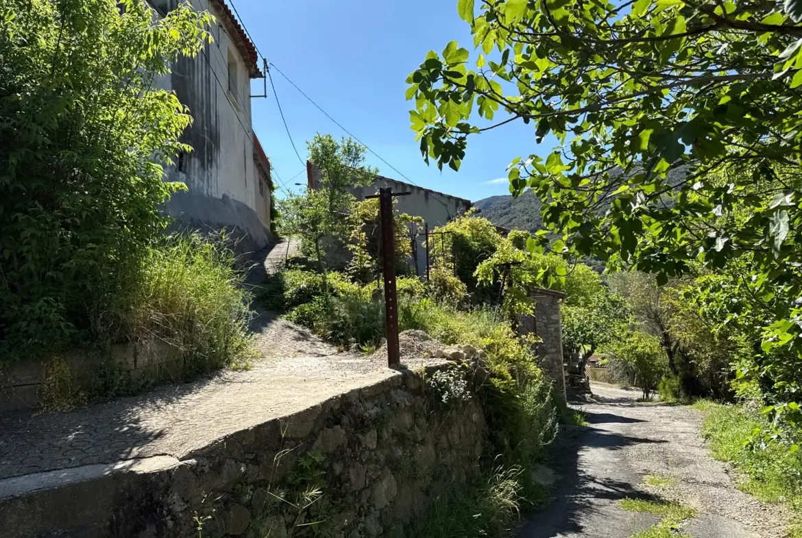 Maison de village à rénover avec jardin non attenant à Reynès - Environnement paisible 