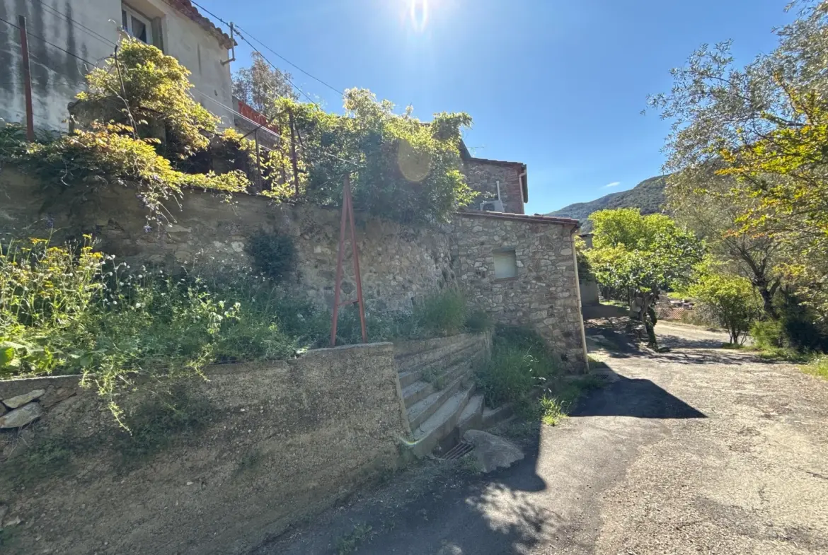 Maison de village à rénover avec jardin non attenant à Reynès - Environnement paisible 